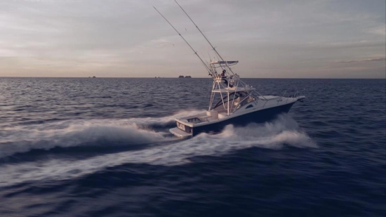Apex Yachts Quepos 350 de segunda mano en venta