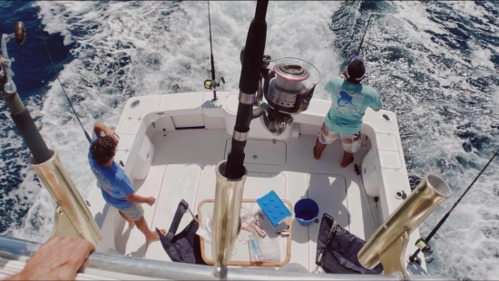 Apex Yachts Quepos 350 de segunda mano en venta