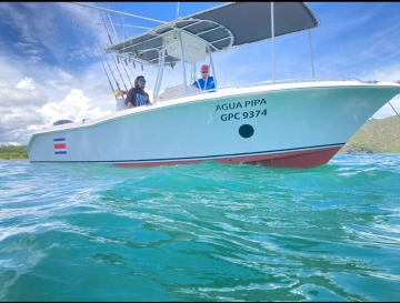 Sea Hunt 22 de segunda mano en venta