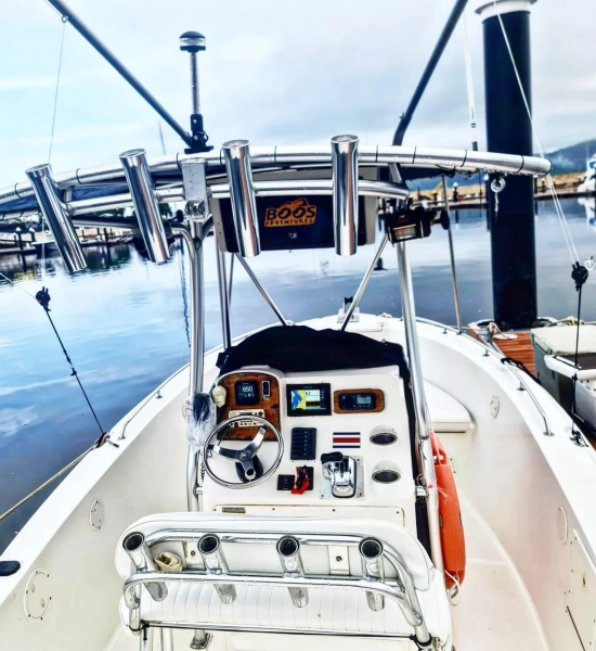 Sea Hunt 22 usado à venda