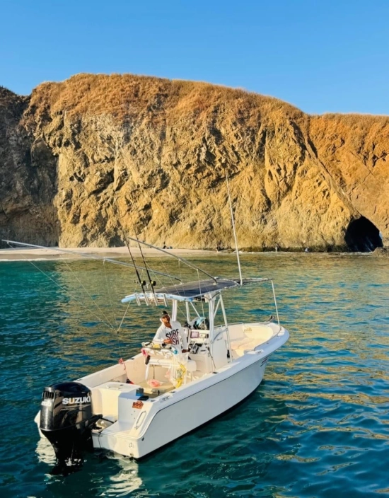 Sea Hunt 22 usado à venda