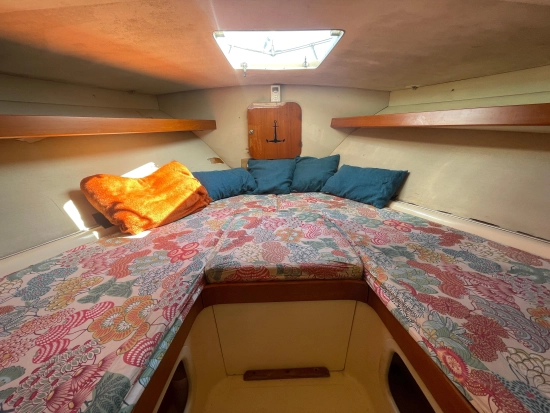 Riva Betram Sport Fish 25 usado à venda