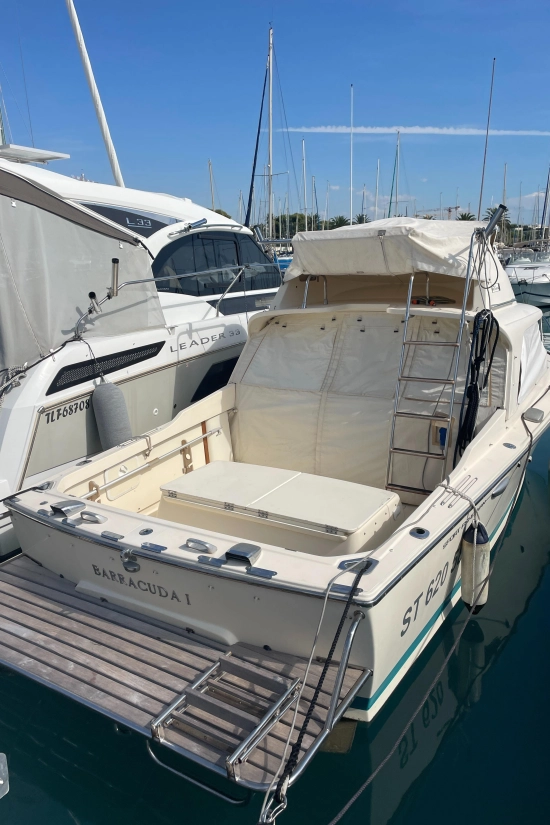 Riva Betram Sport Fish 25 usado à venda
