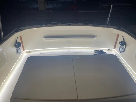 Riva Betram Sport Fish 25 usado à venda