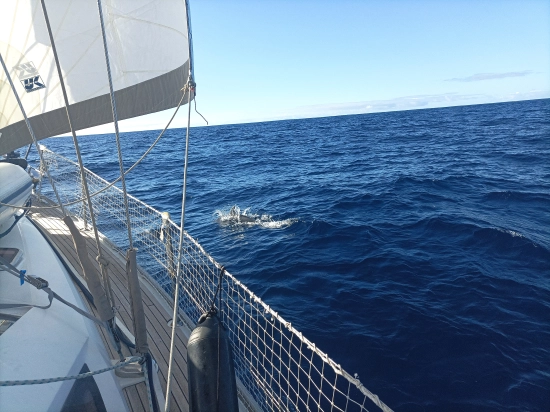 Jeanneau Sun Odyssey 45ds usata in vendita