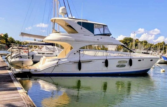 Meridian 441 usata in vendita