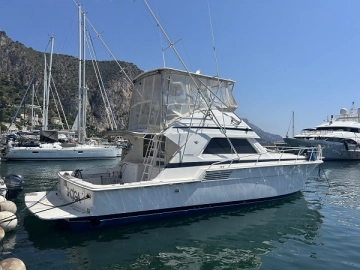 Bertram 46 Convertible usata in vendita