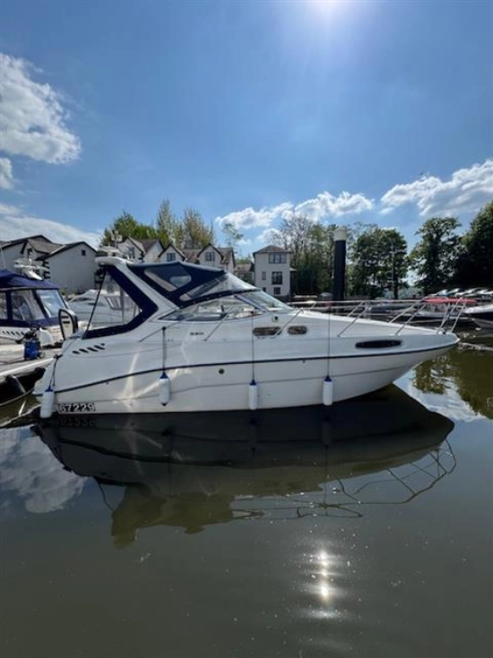 Sealine s28 usata in vendita