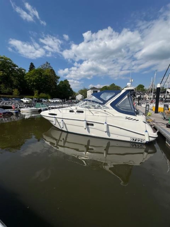 Sealine s28 usata in vendita