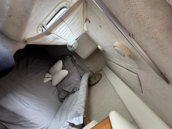 Bayliner 2655 Ciera usata in vendita