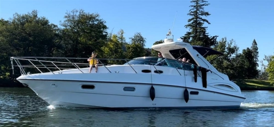 Sealine S38 usado à venda
