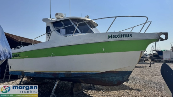 Arvor 25 de segunda mano en venta