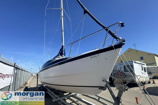 Macgregor 26 m usata in vendita