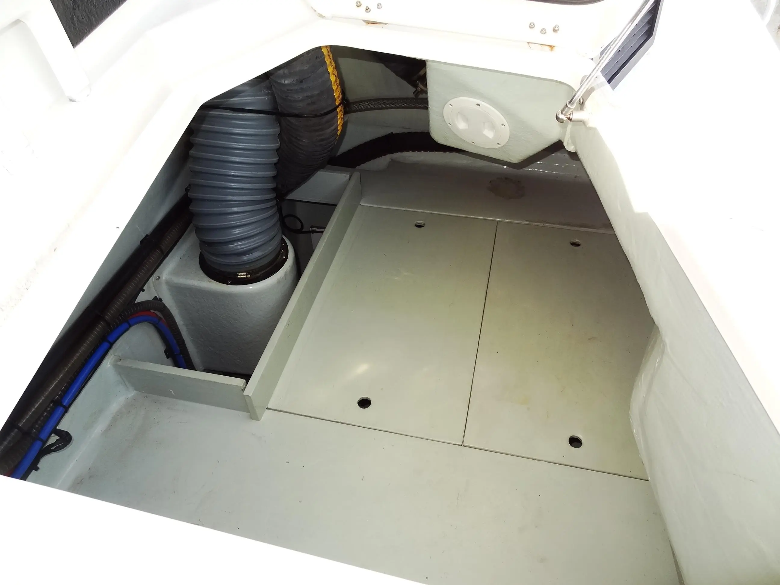 Leopard 43 Powercat usata in vendita
