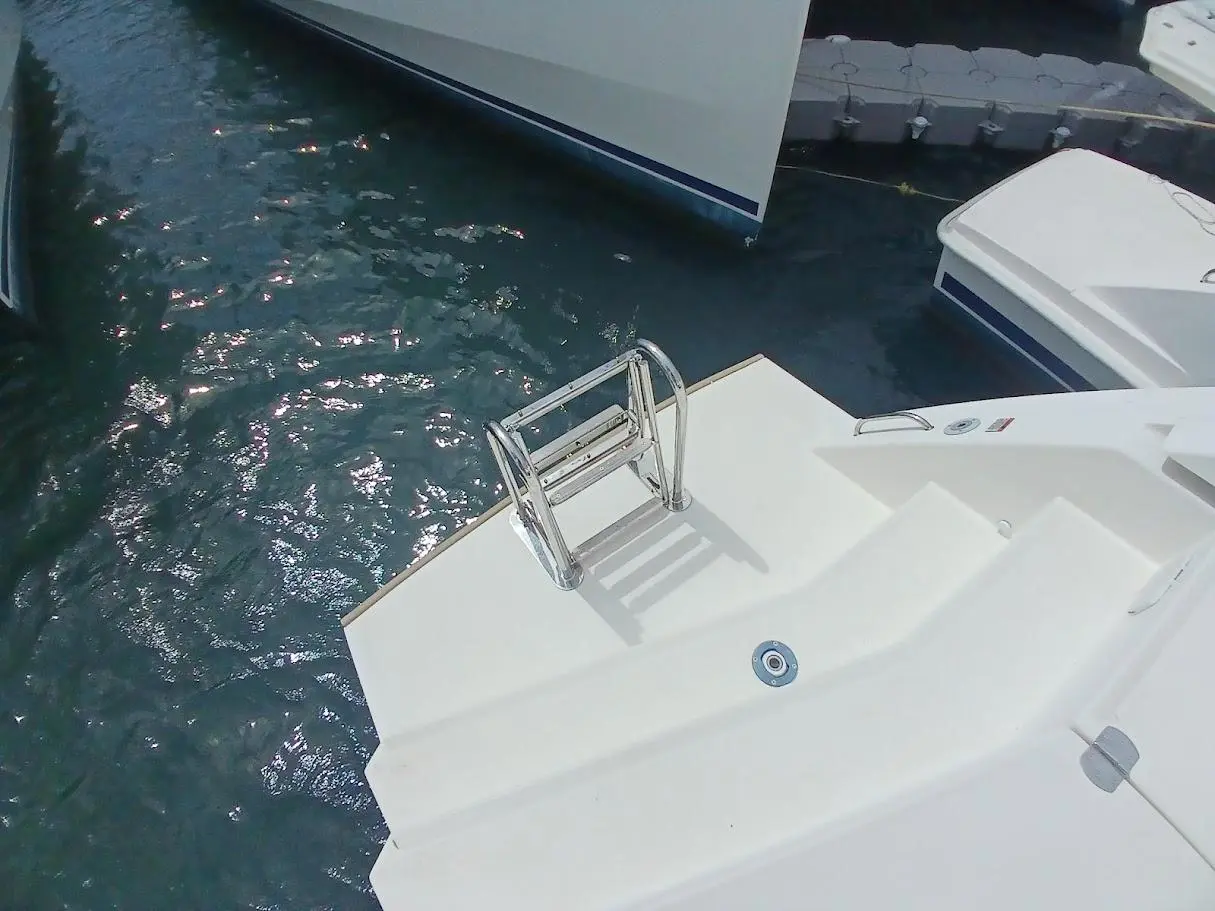 Leopard 50 usata in vendita