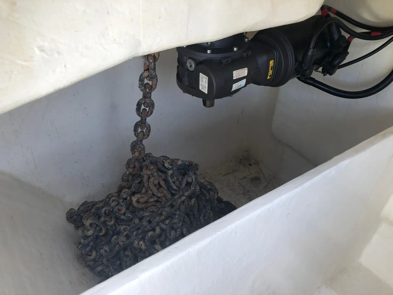 Leopard 50 usata in vendita