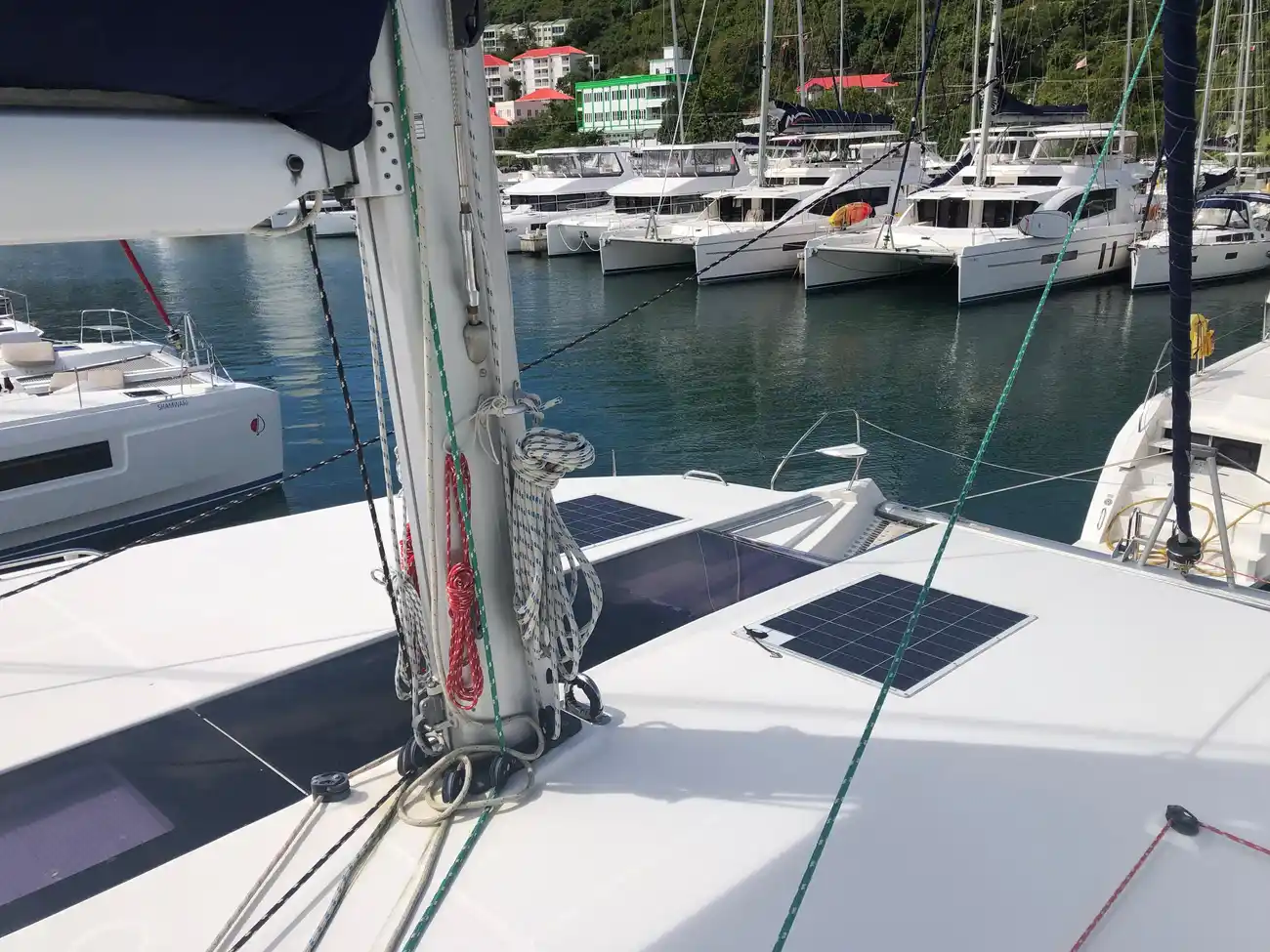 Leopard 50 usata in vendita