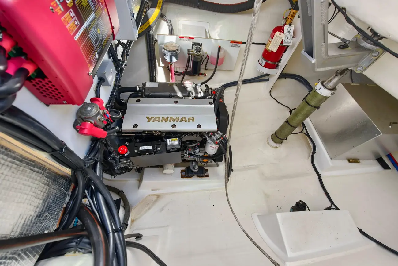 Leopard 50 usata in vendita