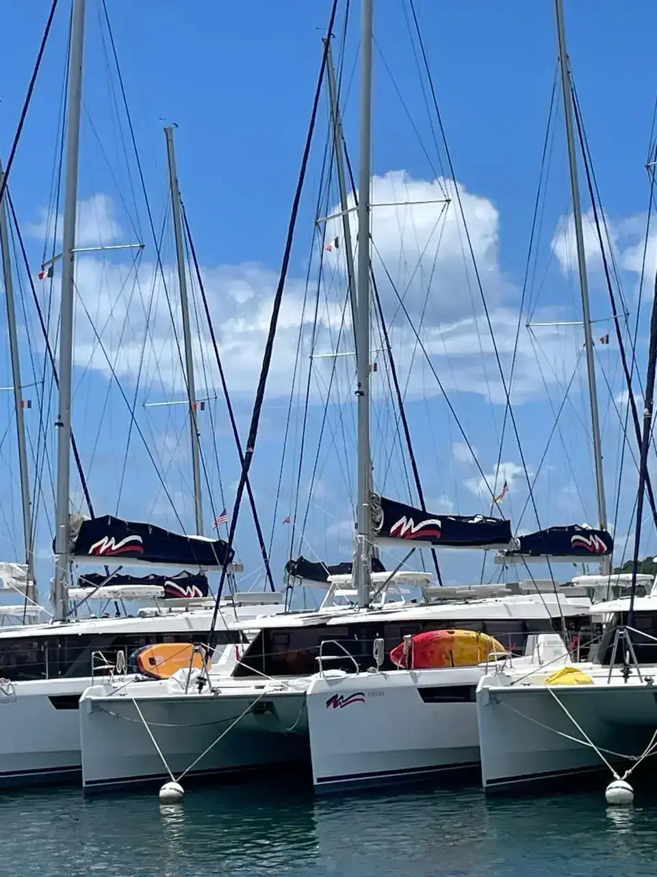 Leopard 50 usata in vendita