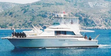 Bertram 54 usata in vendita