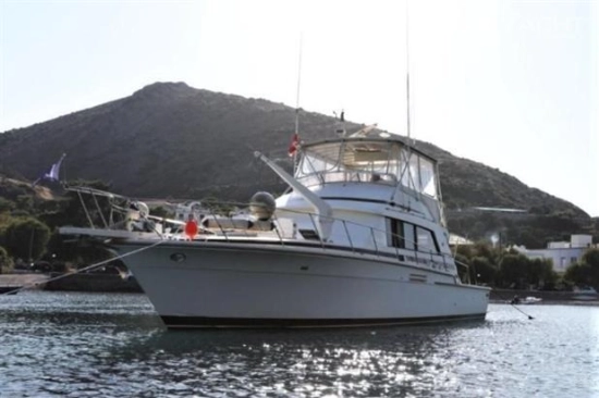 Bertram 54 de segunda mano en venta