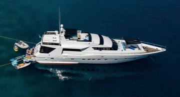 Alfamarine 90 usata in vendita