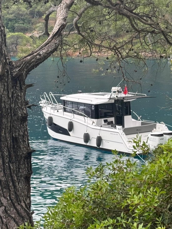 motorboat 31 feet 31 feet de segunda mano en venta