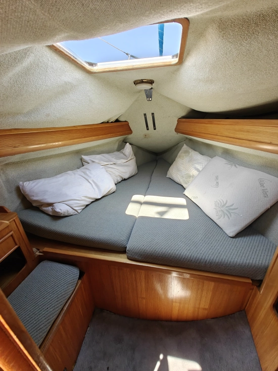Alliaura 1090 de segunda mano en venta