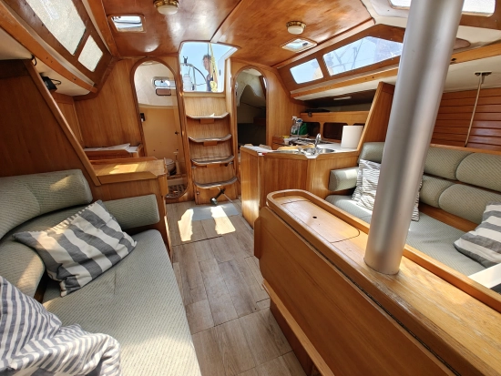 Alliaura 1090 de segunda mano en venta