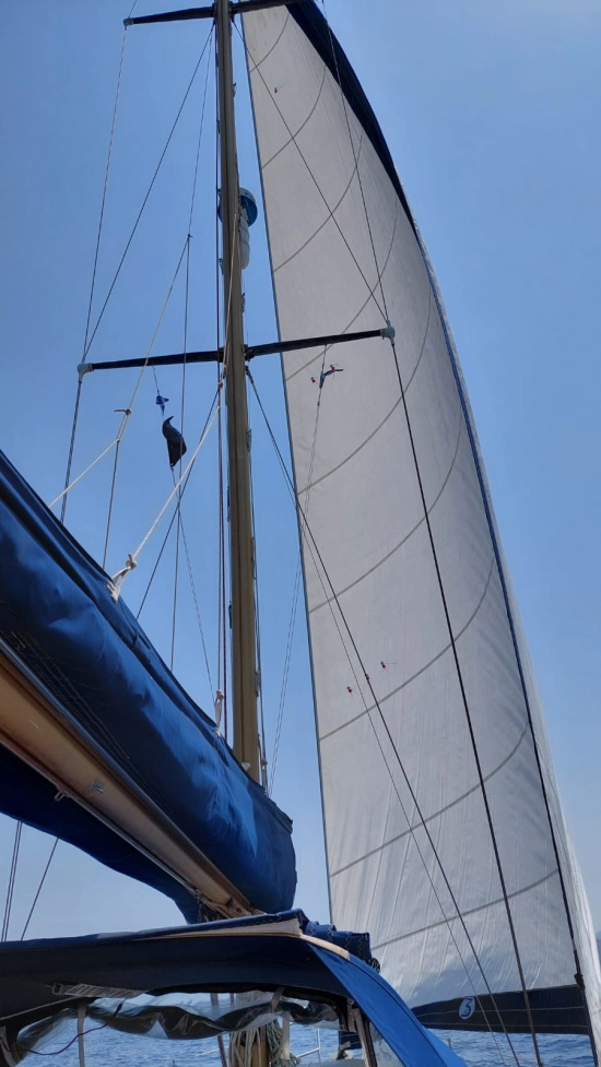Colvic Victor 41 usata in vendita
