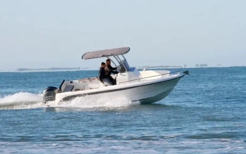 Ocqueteau Ostrea 600 T Top usado à venda