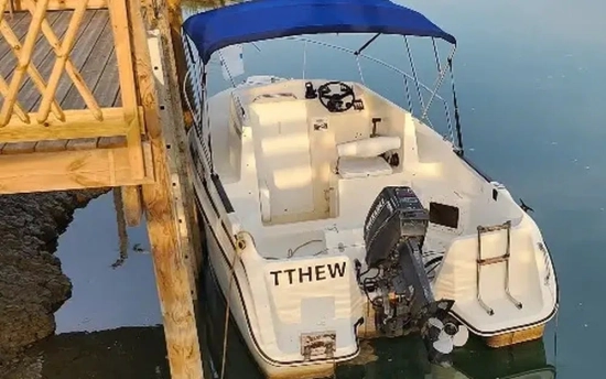 Guymarine GM 540 de segunda mano en venta