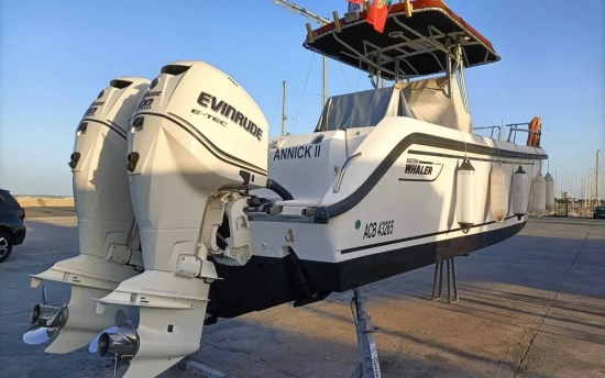 Boston Whaler 26 Outrage usata in vendita