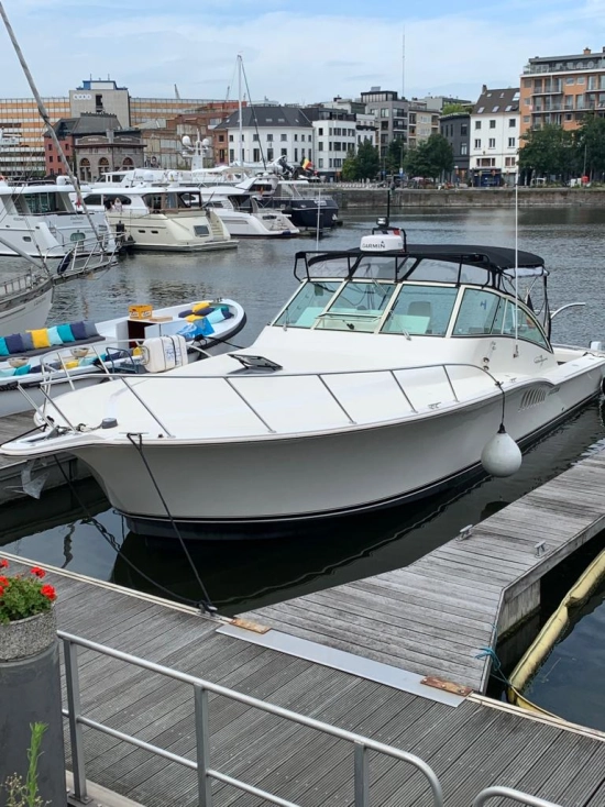 Albemarle 41 Express de segunda mano en venta