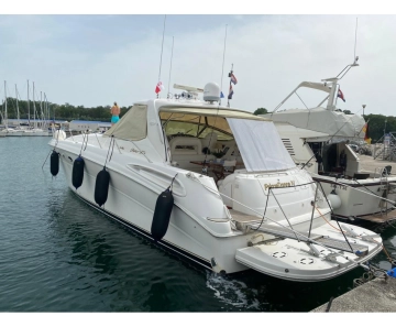 Sea Ray Sundancer 510 usata in vendita