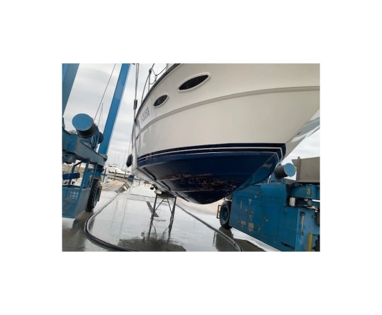 Sea Ray 34 usata in vendita
