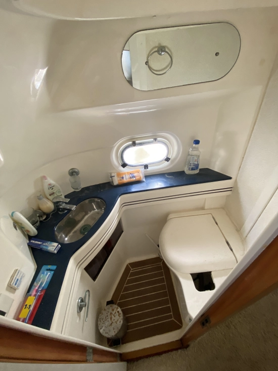 Sealine F43 de segunda mano en venta