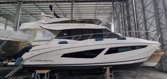Regal 42 Fly de segunda mano en venta