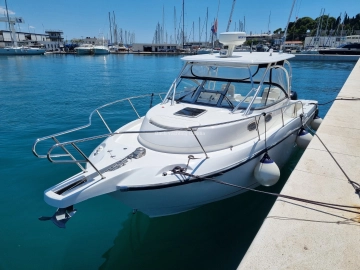 Boston Whaler Conquest 305 usado à venda