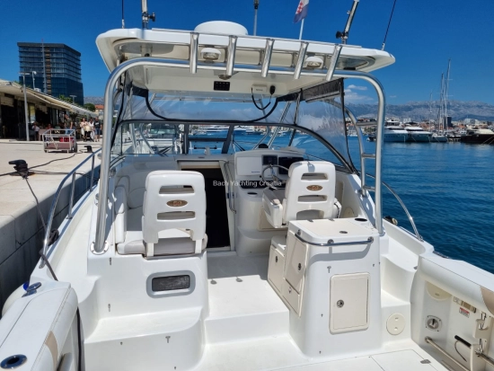 Boston Whaler Conquest 305 usado à venda