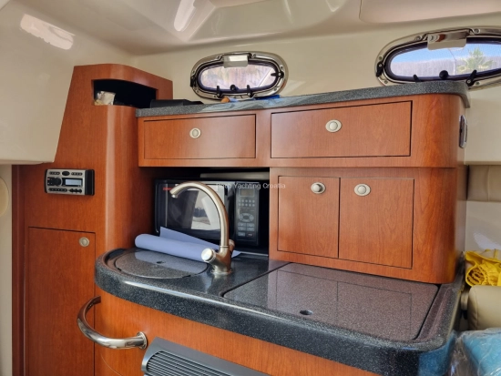 Boston Whaler Conquest 305 usado à venda