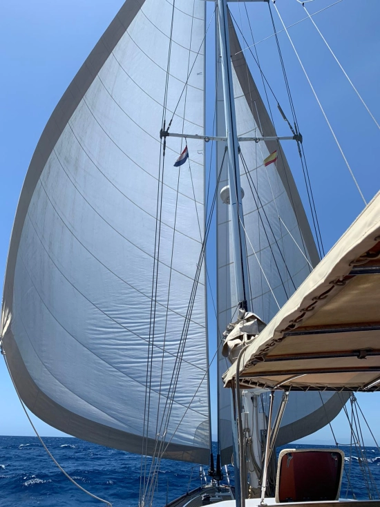 Lagoon Royal Pilot Saloon 65 usado à venda
