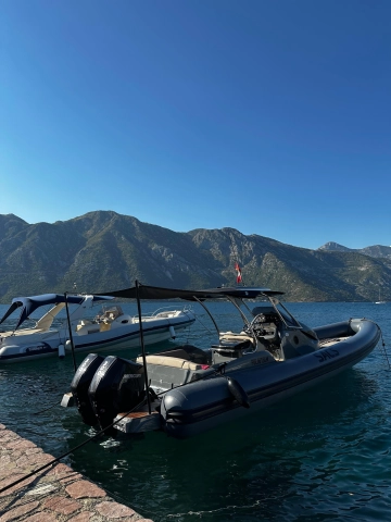 Sacs Marine Strider 10 usata in vendita