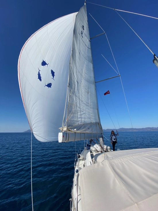 Beneteau Oceanis 51.1 de segunda mano en venta