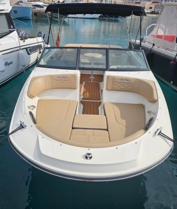 Sea Ray SPX 210 de segunda mano en venta