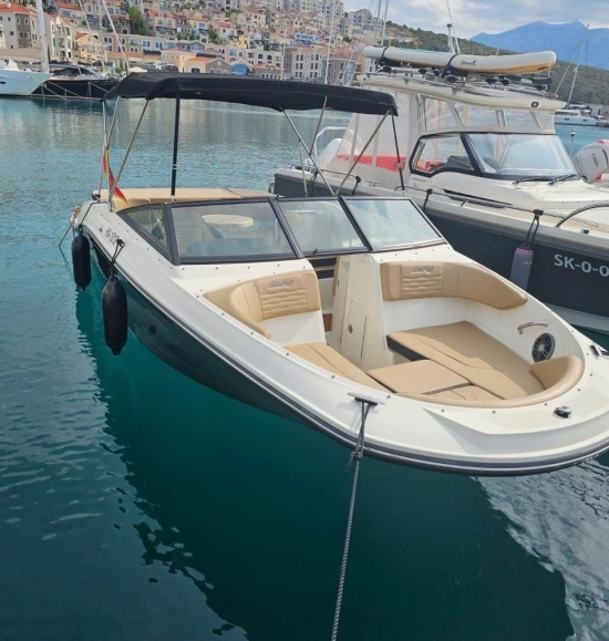 Sea Ray SPX 210 usata in vendita
