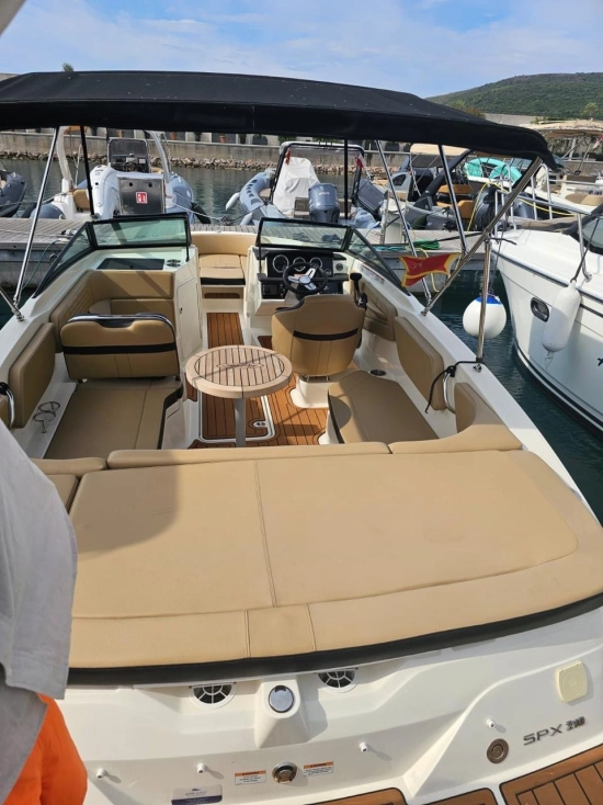 Sea Ray SPX 210 usata in vendita