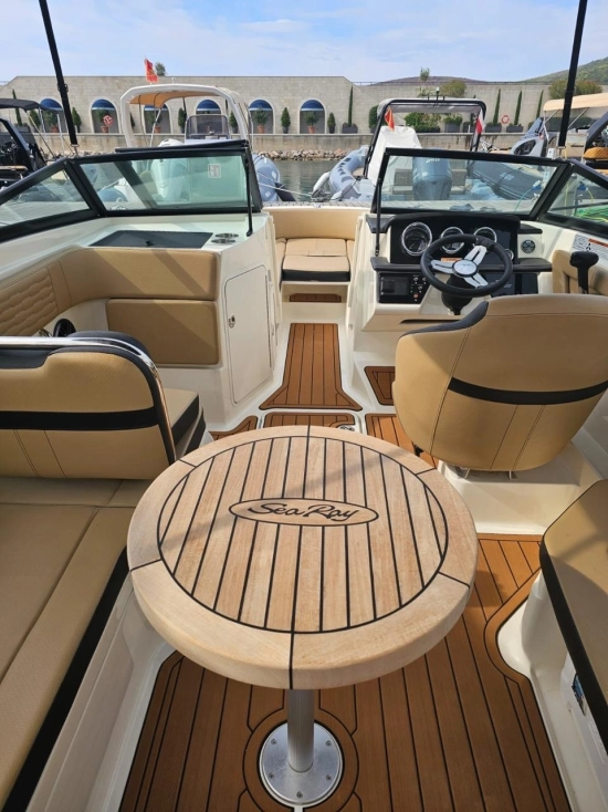 Sea Ray SPX 210 usata in vendita