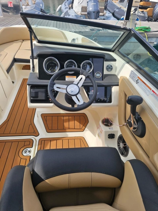 Sea Ray SPX 210 usata in vendita
