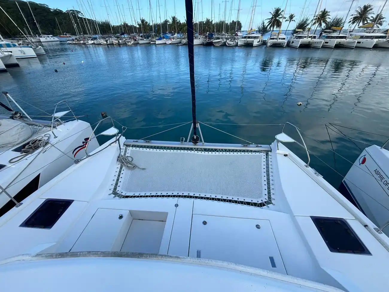 Leopard 40 usata in vendita